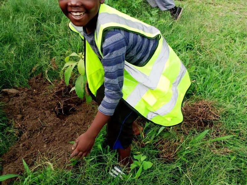 A boy planting a fruit tree